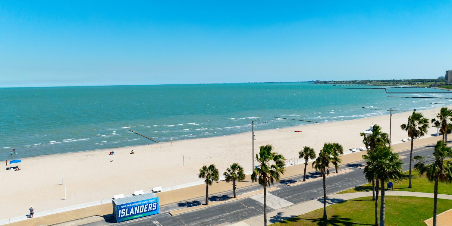 McGee Beach
