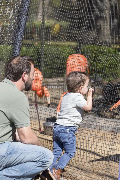 father and son at the Montgomery Zoo