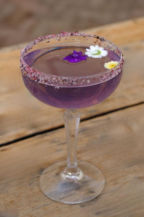 Violet Margarita from The Wigwam