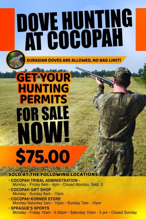 Dove Hunt at Cocopah