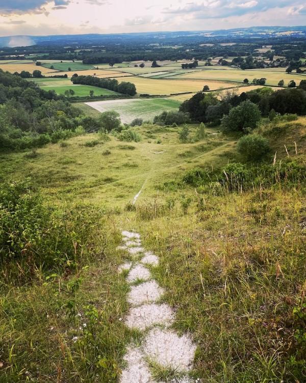 View from Heyshott Down