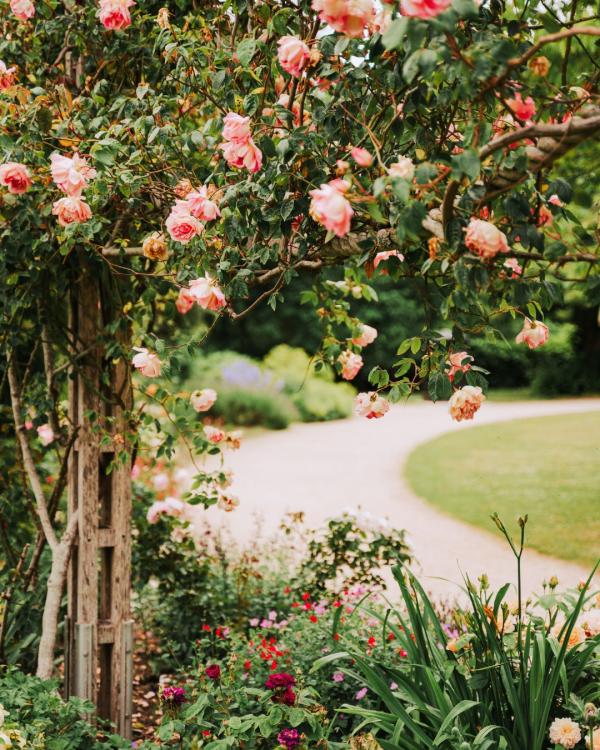 Bishops Palace Garden, Chichester