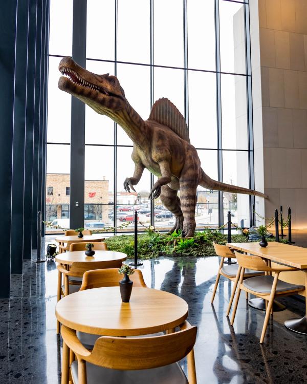 Mulva Cultural Center Dino Safari