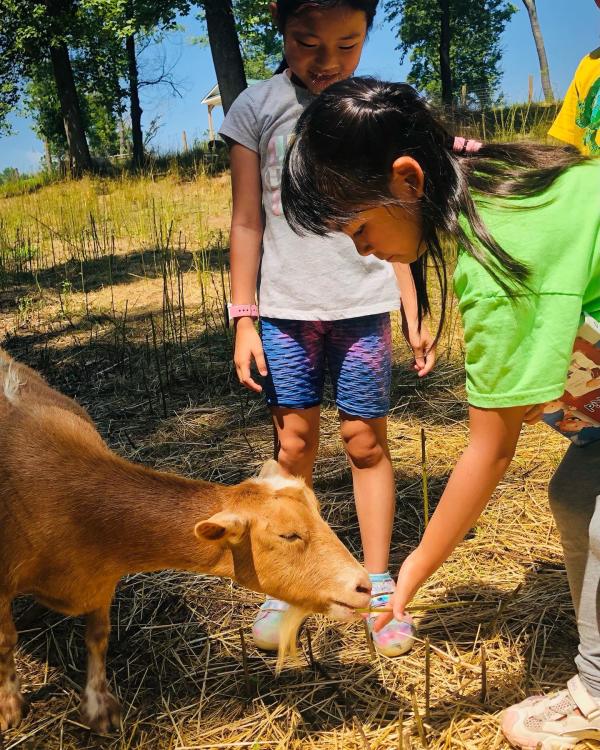 Mary's Land Farm Petting Farm