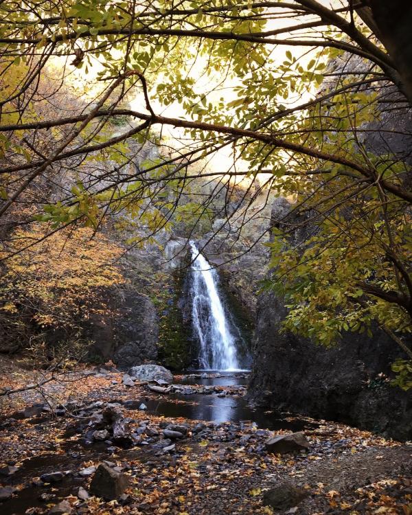 Dog Creek Falls