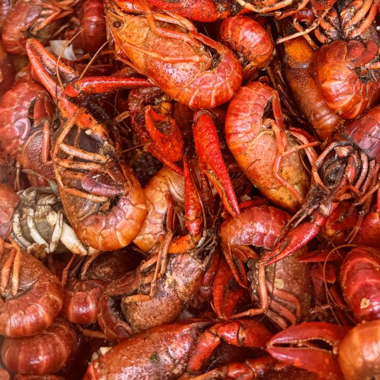 Crawfish