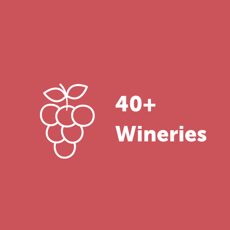 40+ Wineries Infographic
