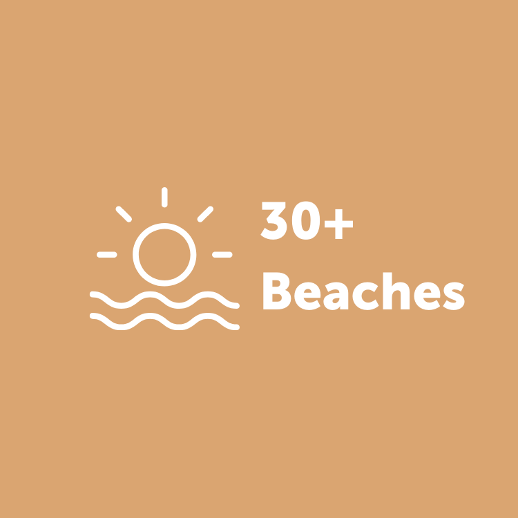 Beaches Infographic