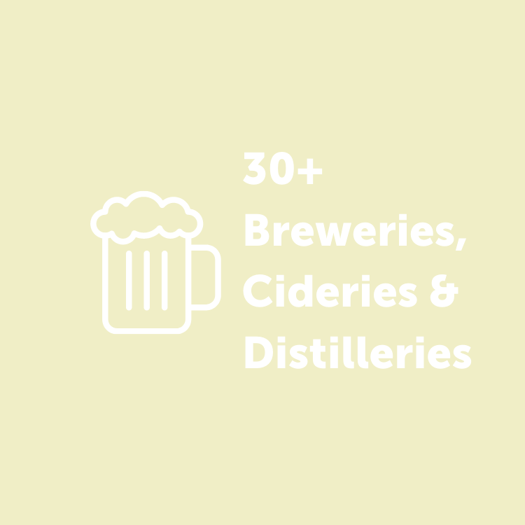 Breweries, Ciders, Distilleries Infographic