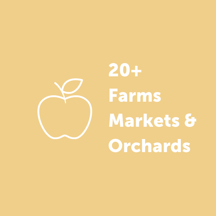 Farms, Orchards, & Markets Infographic