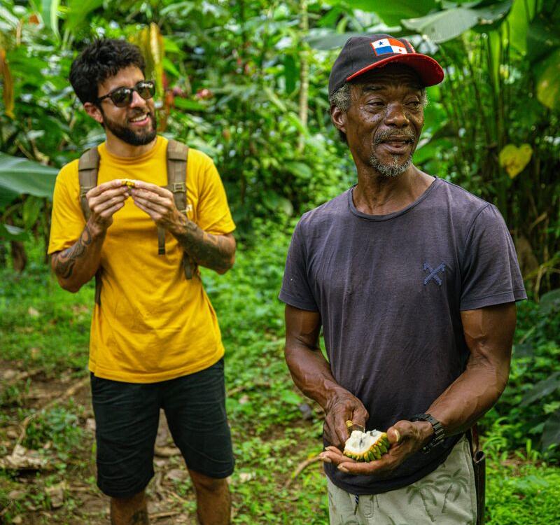 Cacao Bocas del Toro