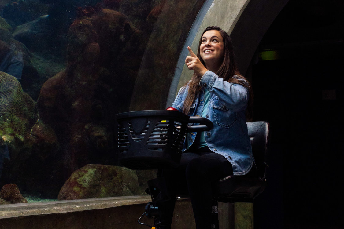 Wheelchair user exploring at The Florida Aquarium