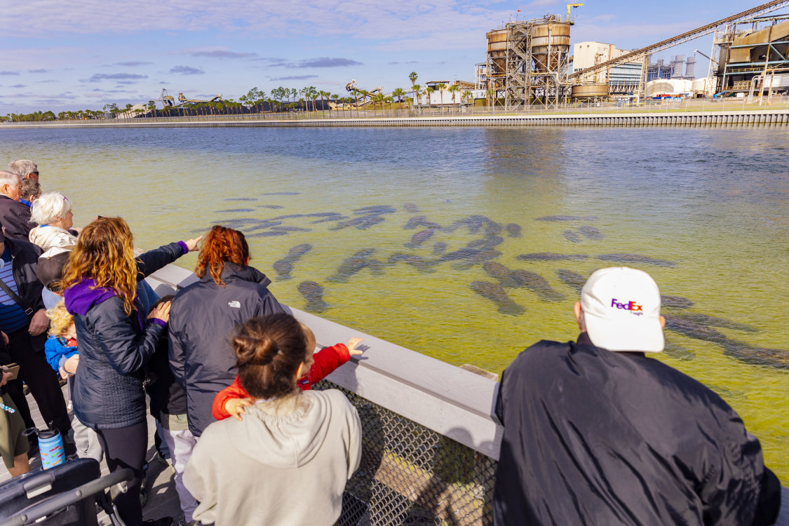 TECO Manatee Viewing Center