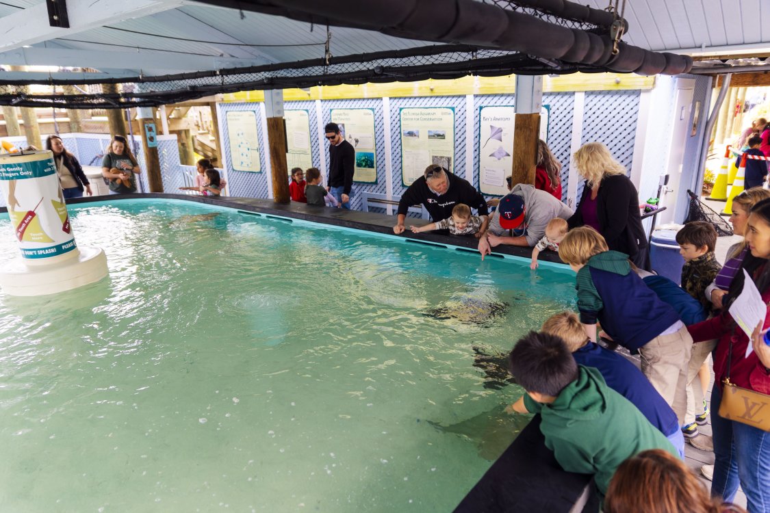 TECO Manatee Viewing Center