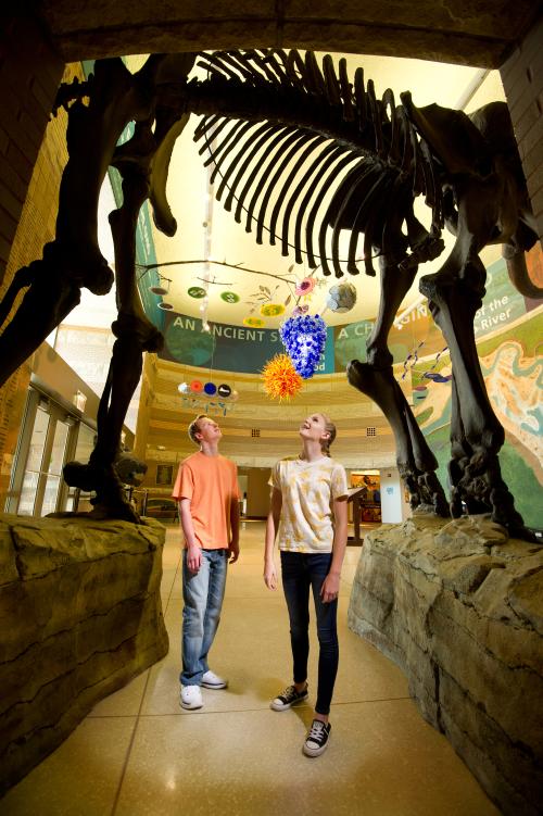 Two people looking up in awe at a dinosaur fossil in the Falls of the Ohio Interpretive Center.