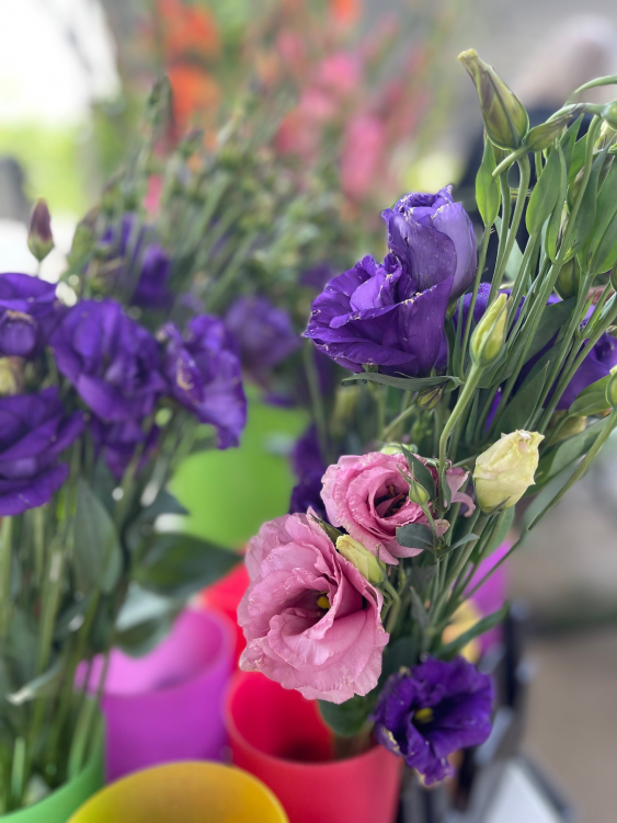 Fresh Flowers from Carrboro Farmers' Market