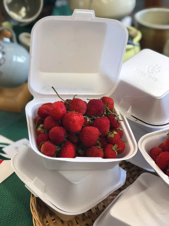 Farmers Markets - Fairbanks Alaska - stawberries