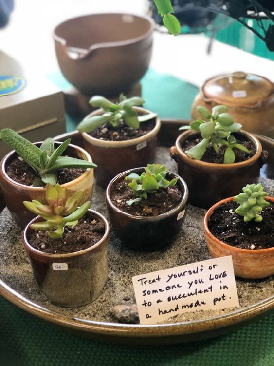 Farmers Markets - Fairbanks Alaska - succulents