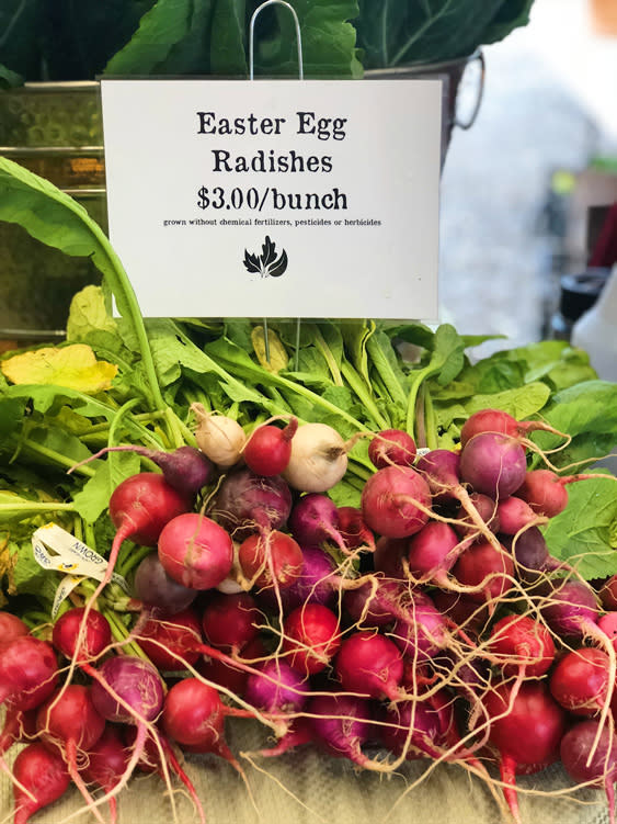 Farmers Markets - Fairbanks Alaska - Easter Egg Radishes