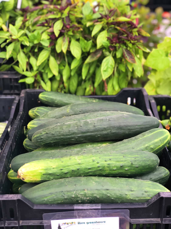 Farmers Markets - Fairbanks Alaska - cucumber