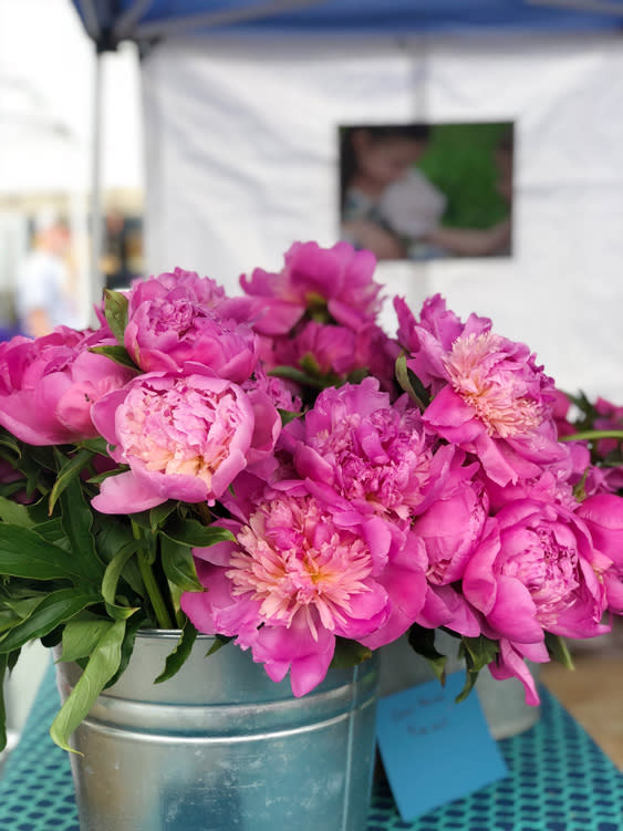 Farmers Markets - Fairbanks Alaska - peonies