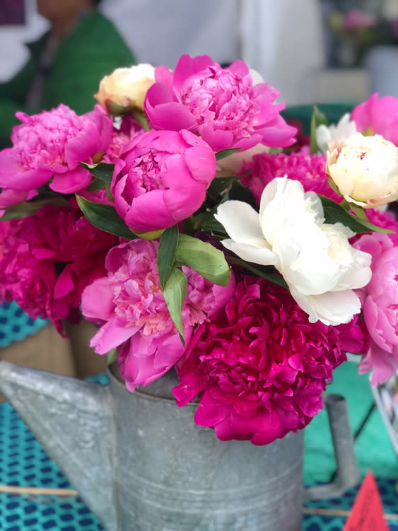 Farmers Markets - Fairbanks Alaska - bunch of peonies