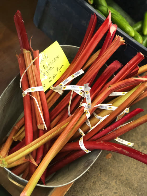 Farmers Markets - Fairbanks Alaska - Rhubarb