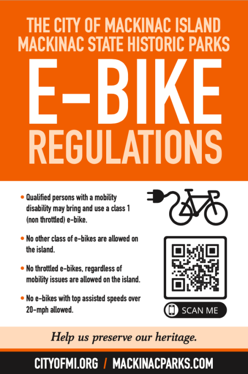 E-Bike infographic