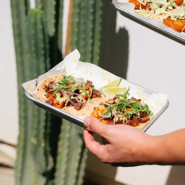 A person holding a plate with two garnished tacos, with a backdrop of a cactus plant.