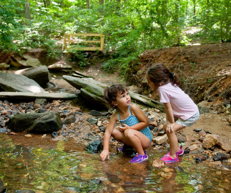 Dunwoody Nature Center Creek