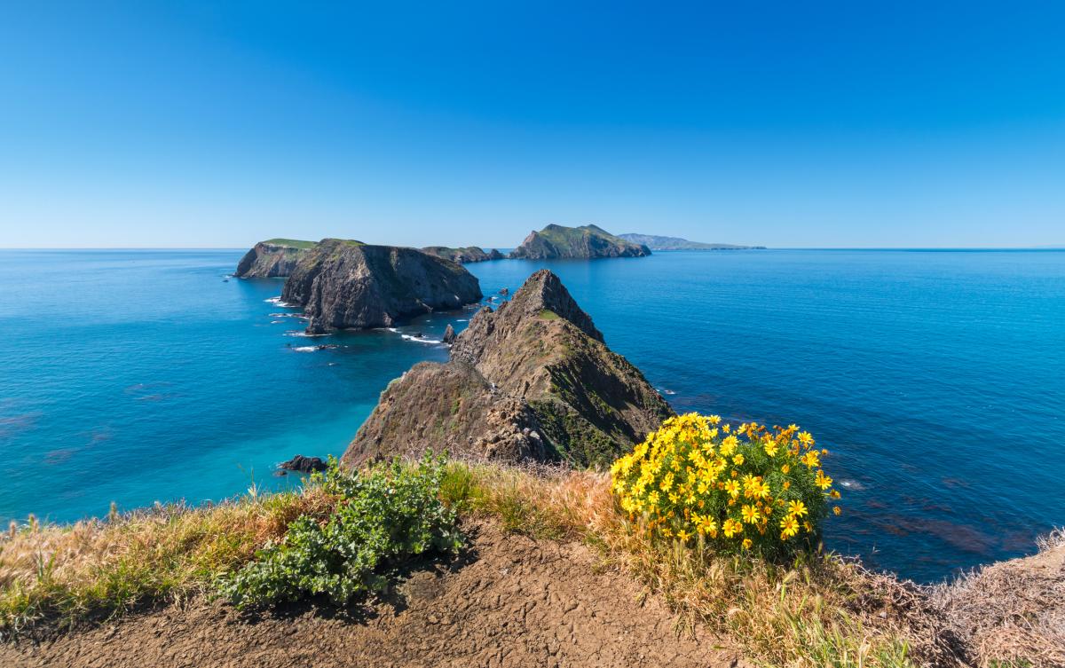 Channel Island National Park