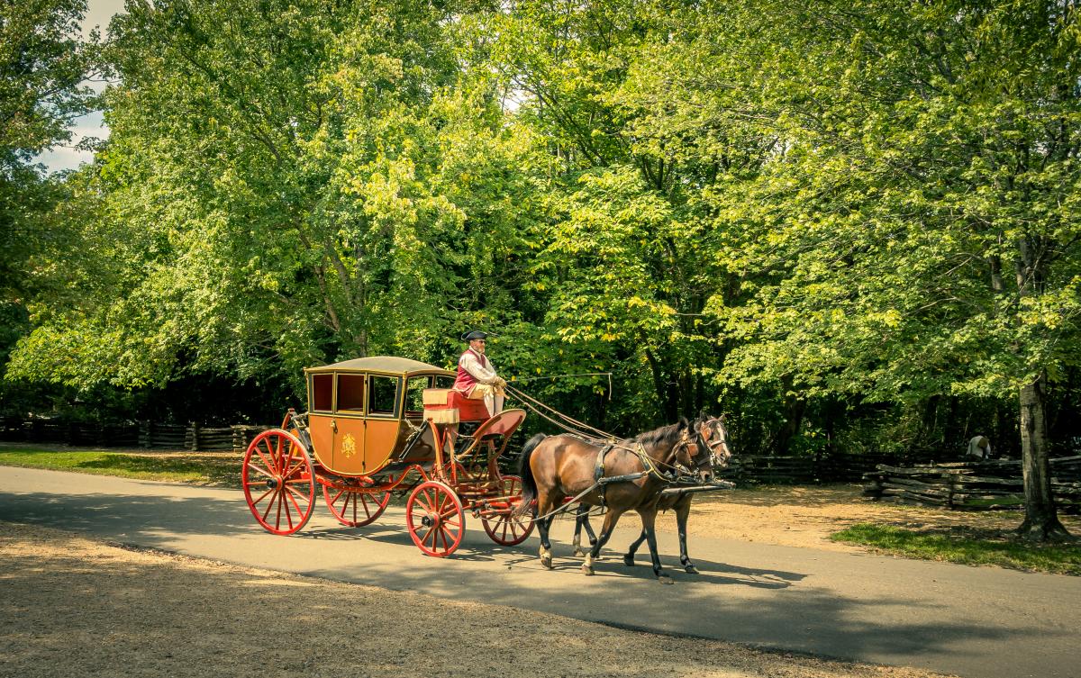 Carriage Ride at Colonial Williamsburg