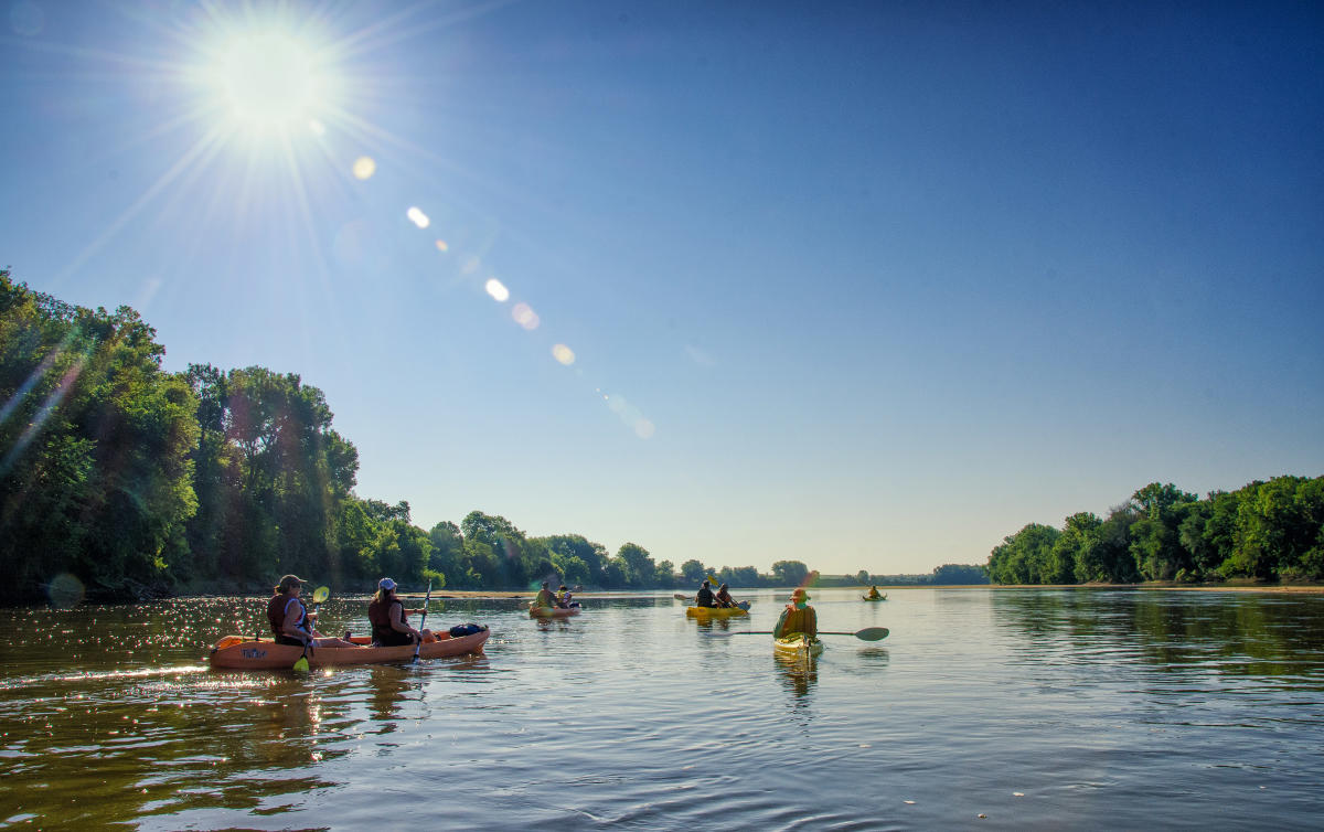 group of kayakers paddling on river