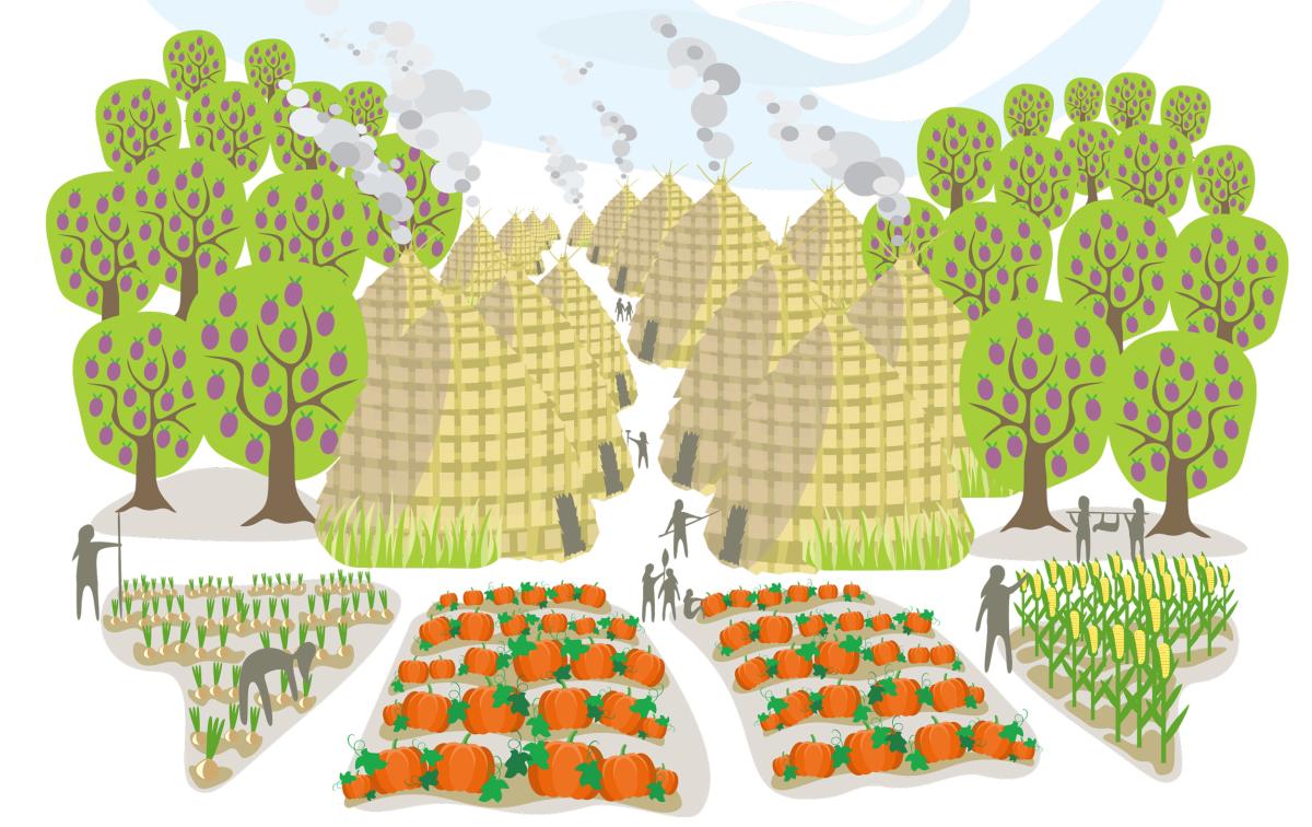 illustration of a Native American village with a garden and huts