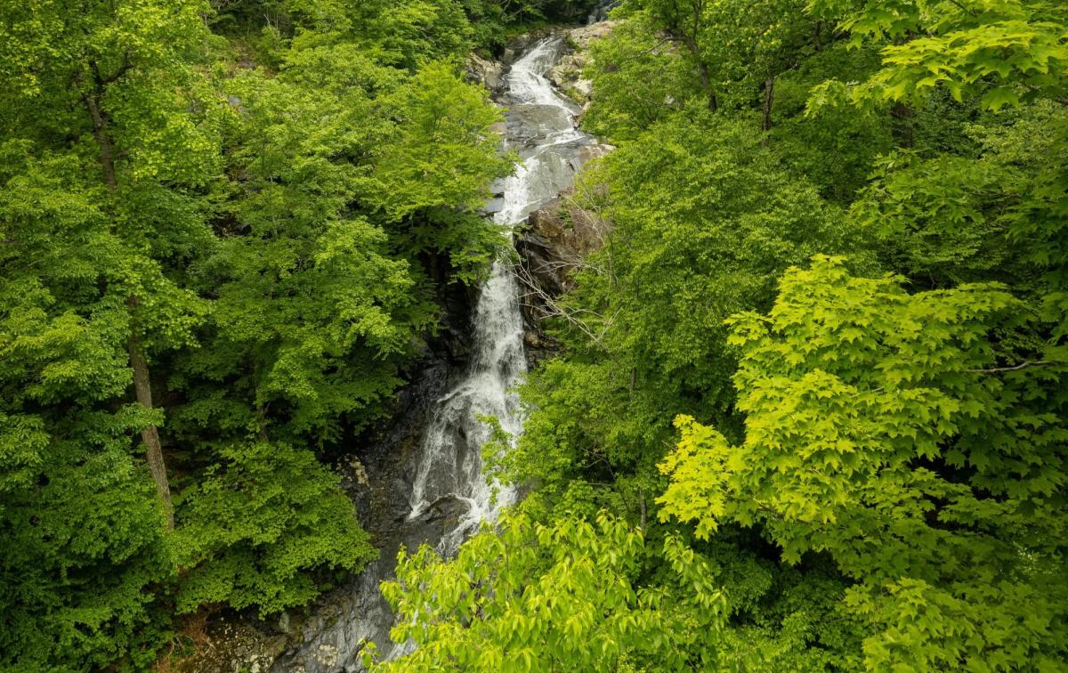 Whiteoak Canyon Falls