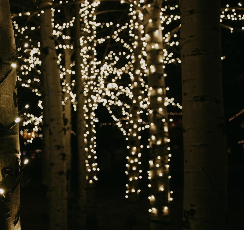 Holiday Lights