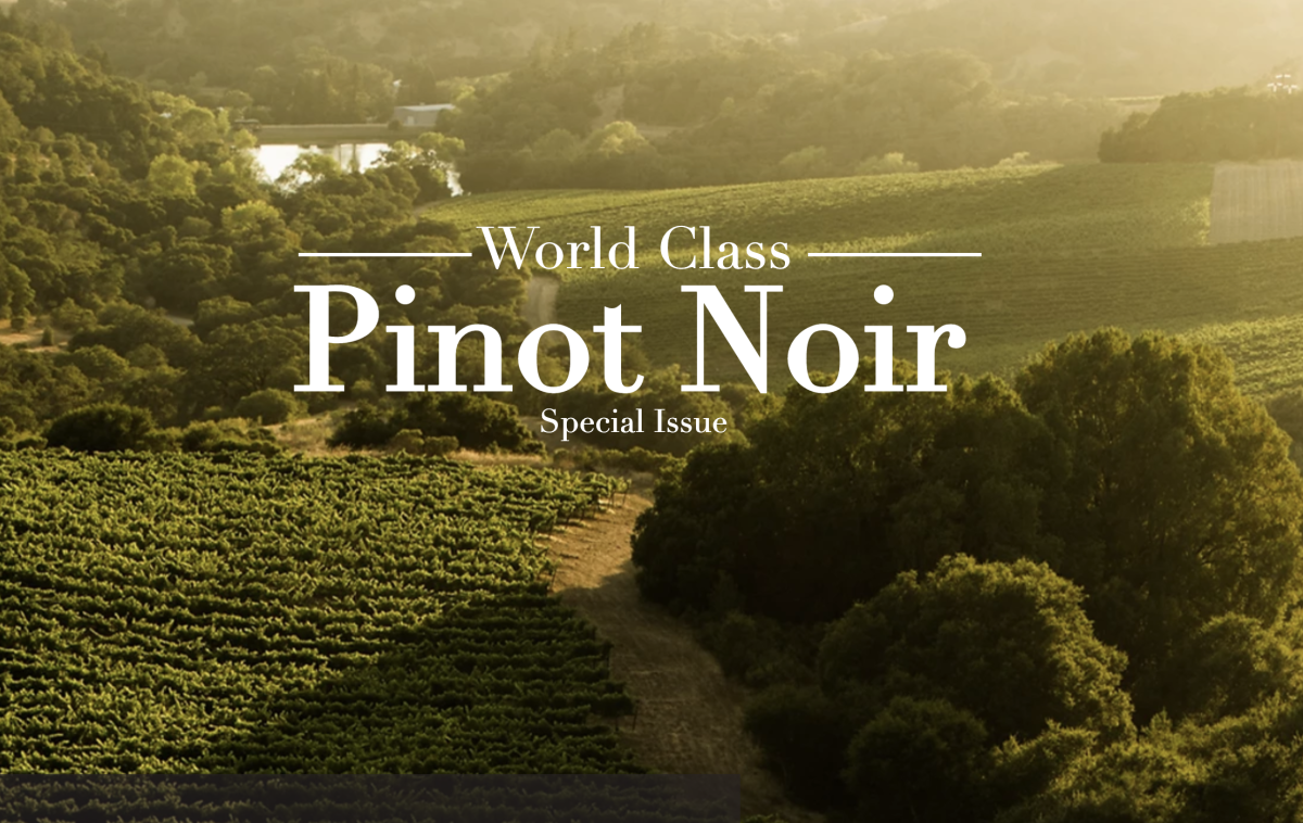 World-Class Pinot Noir headline on vineyard backdrop