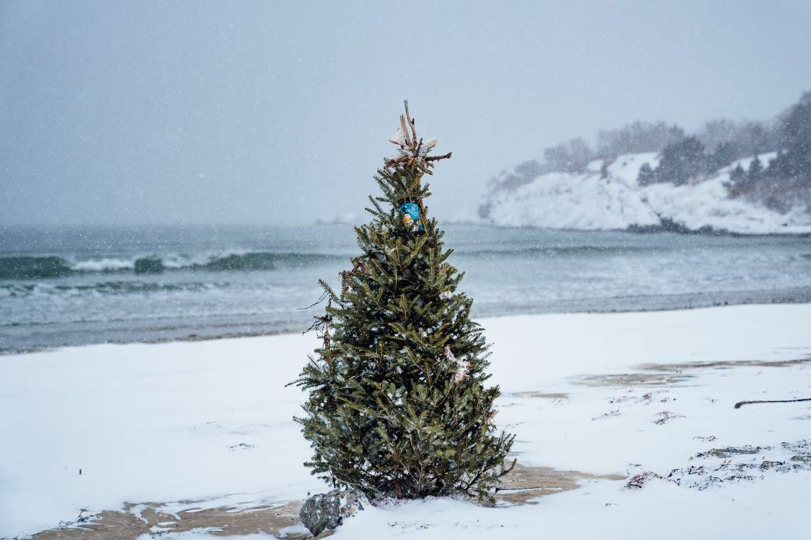 Things To Do In Newport Ri In December Discover Newport Rhode