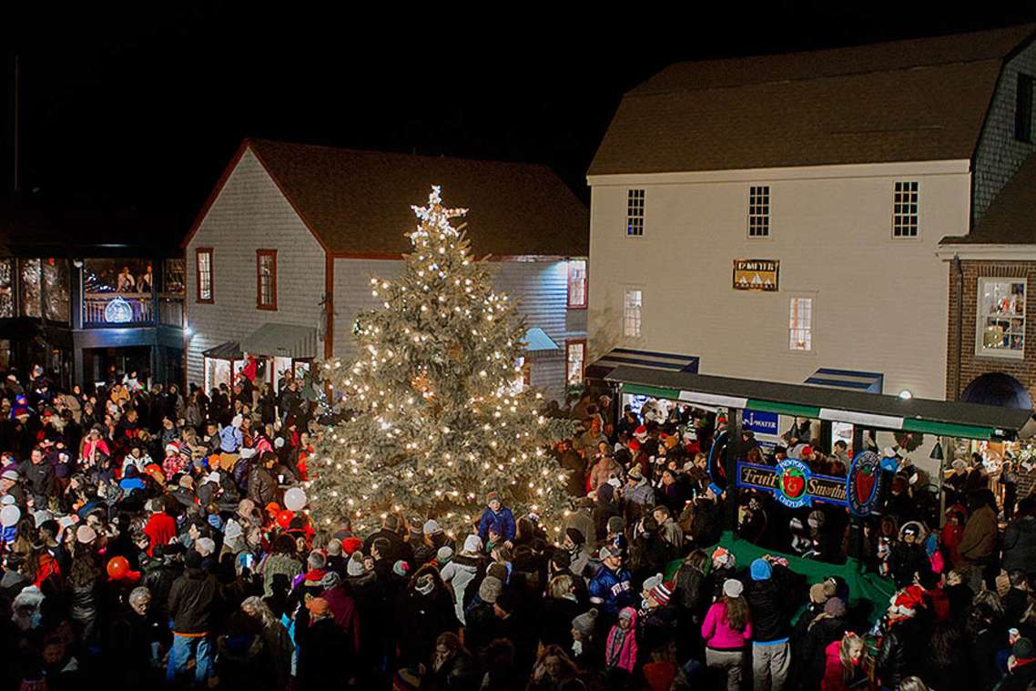 Bowen S Wharf Tree Lighting Discover Newport Rhode Island