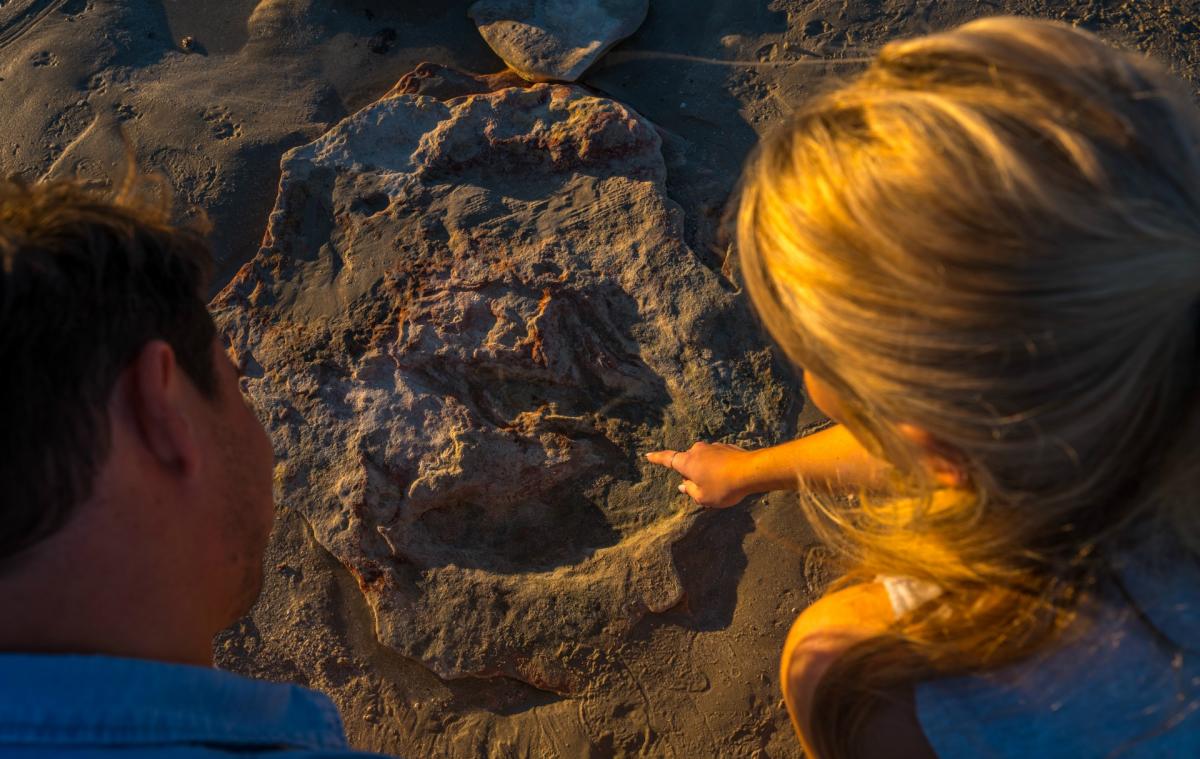 A couple viewing a dinosaur footprint on Cable Beach Broome