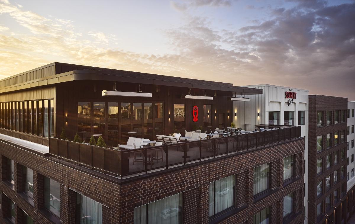 Barred Owl Scarlet Hotel