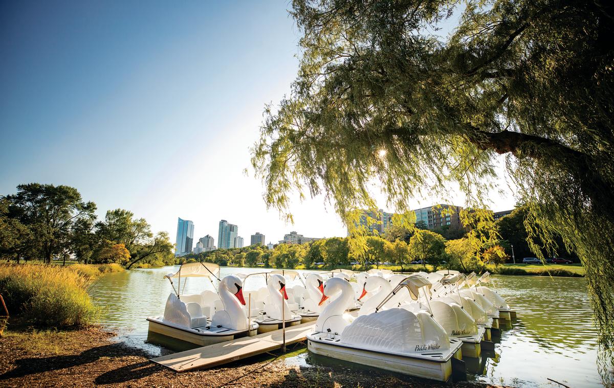 swan boats with scenic view of Veterans Park Lagoon
