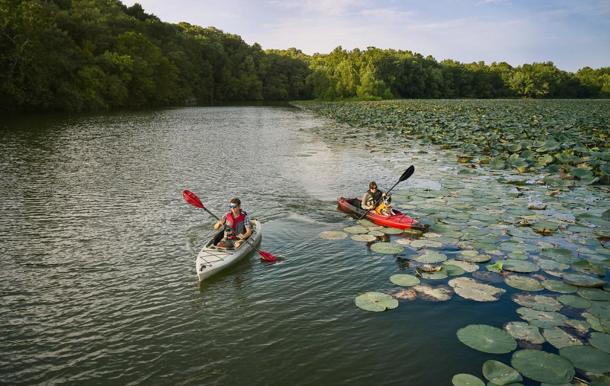 Kayakers on Lake Springfield