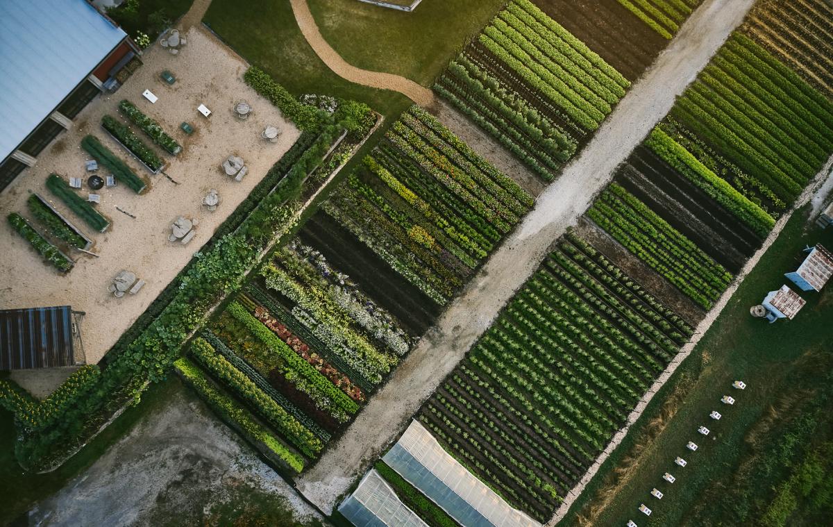 The Farm at Finley Farms