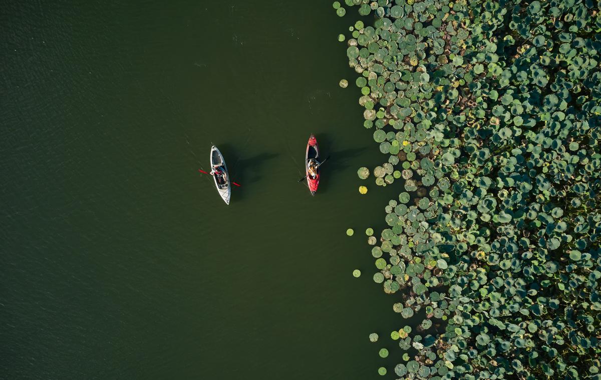 Lake Springfield