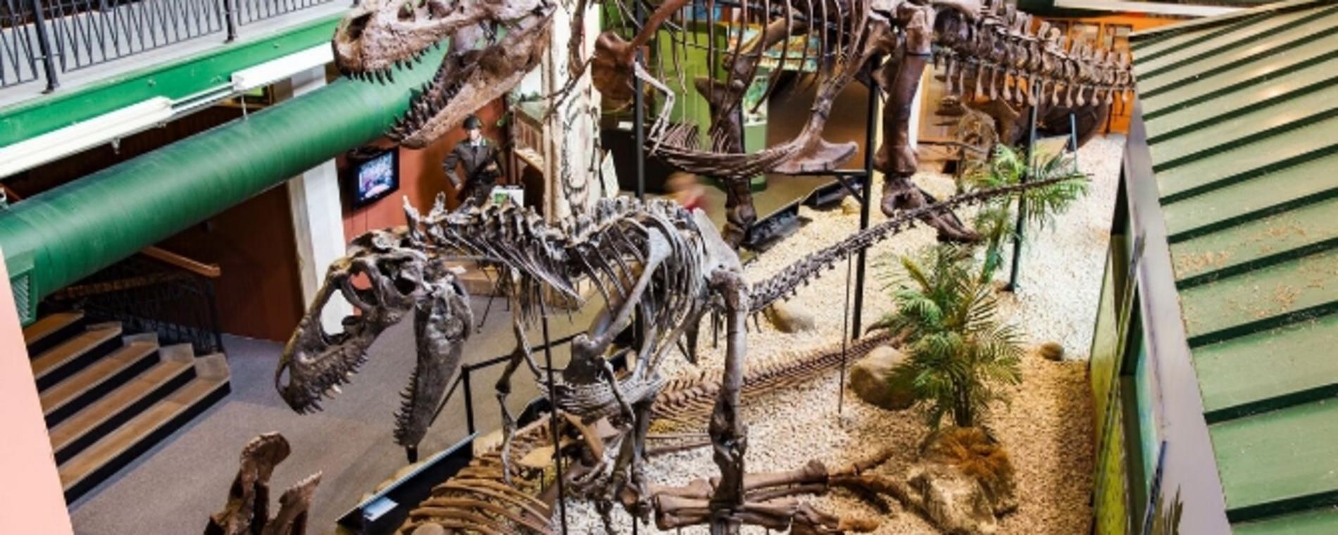 Free Admission To Wichita Museums On Smithsonian Museum Day 19