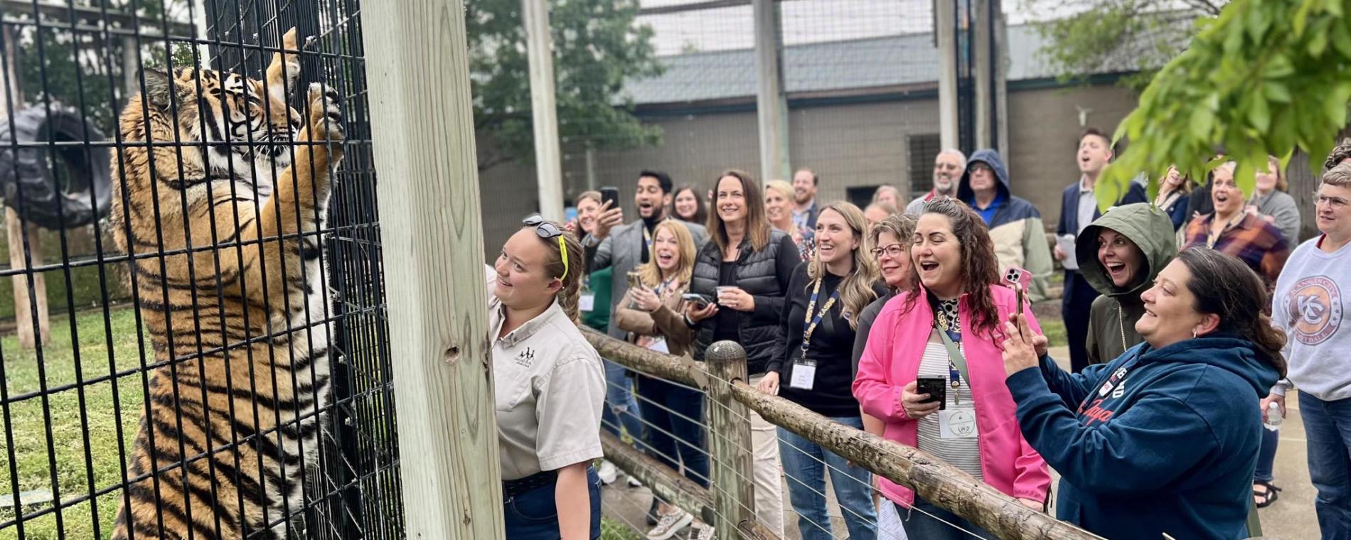 Tiger training demonstration at Tanganyika