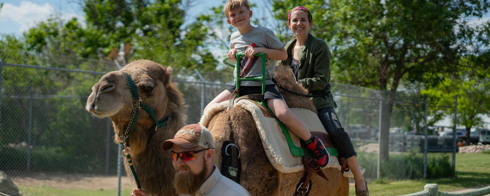 Family with Camel