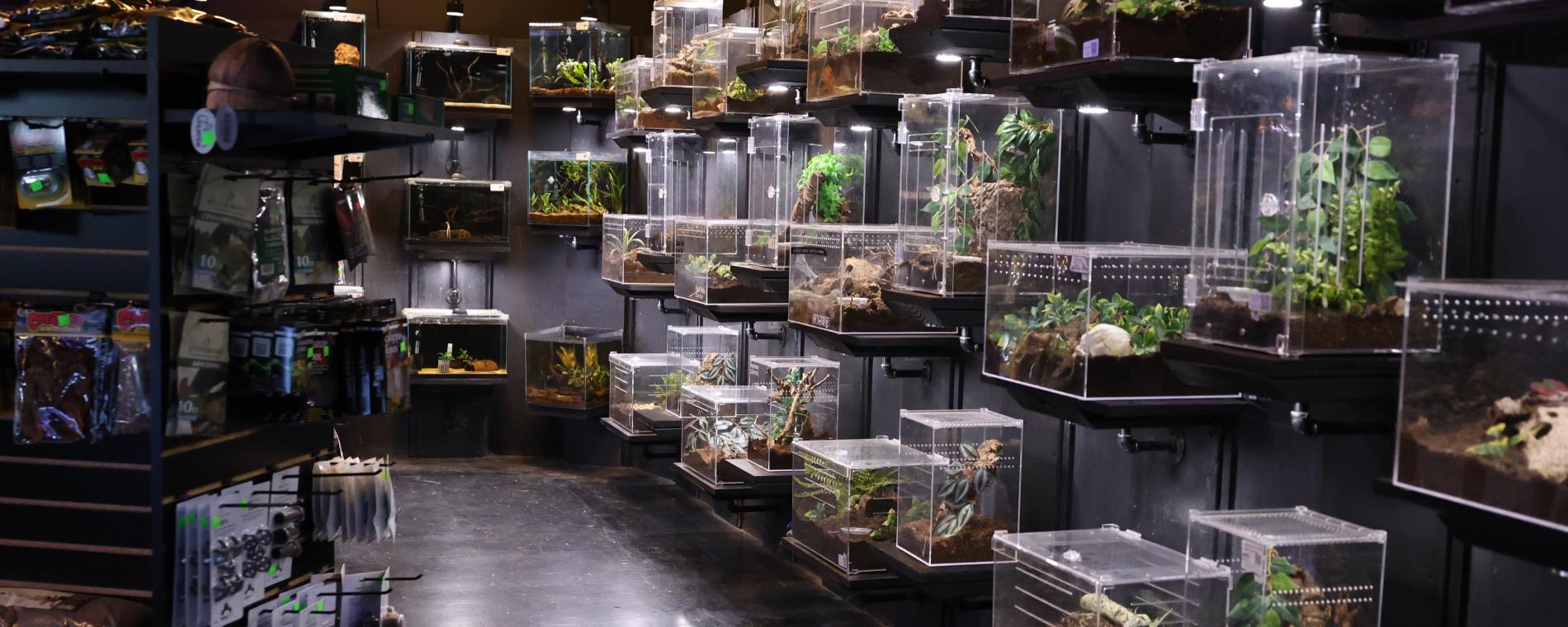 Exotic Pets 4