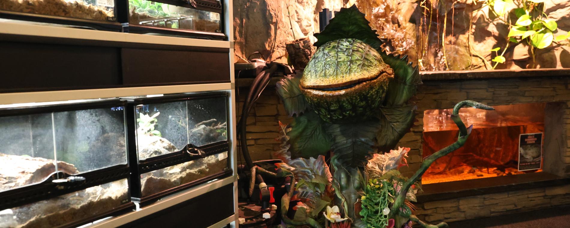 Exotic Pets 8